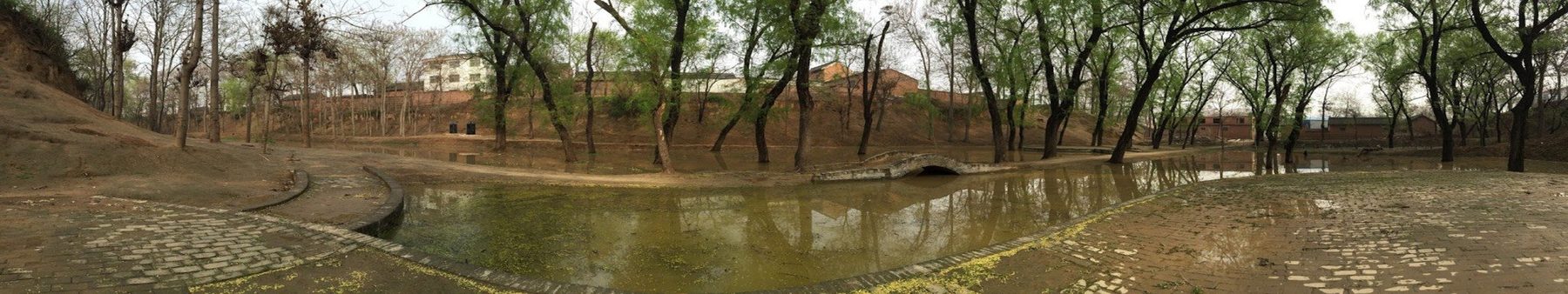 Panoramic view of the historic ditch and tree-lined landscape in Chenjiagou, birthplace of Chen-family Taijiquan